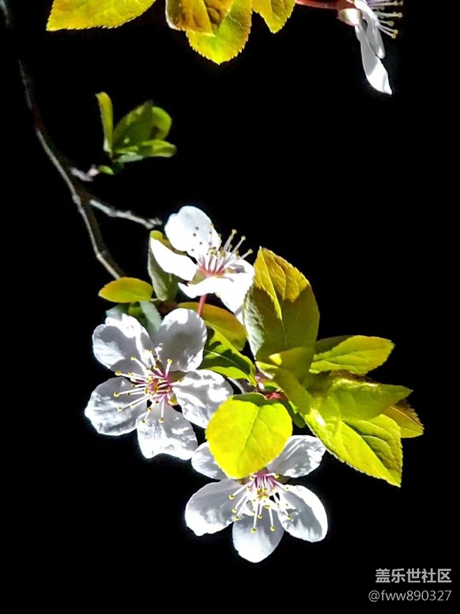 【朋友圈里的潛在客戶】+【山東分公司淄博小區(qū)SMC李文】 【朋友圈里的潛在客戶】+【山東分公司淄博小區(qū)SMC李文】