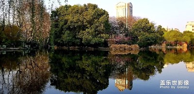 春曖百花，各表一枝；不為斗艷，只為相見。