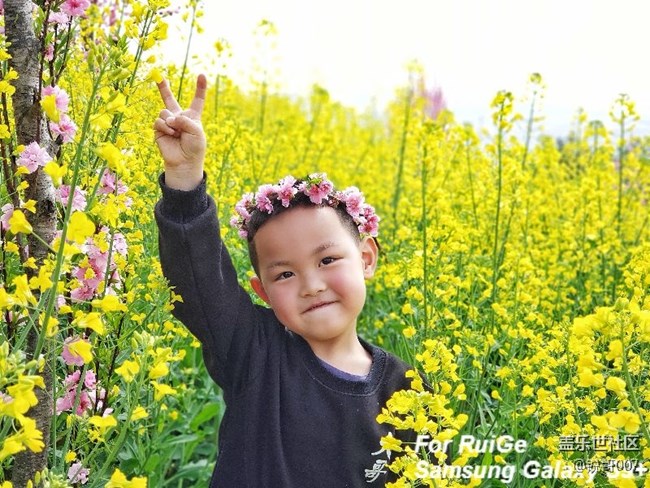 自己做了一黑一白s9+的專屬水印，需要的拿去……