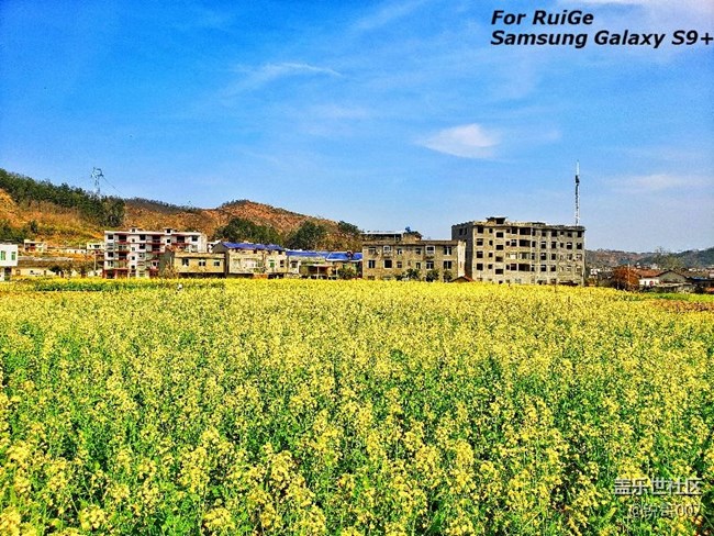 自己做了一黑一白s9+的專屬水印，需要的拿去……