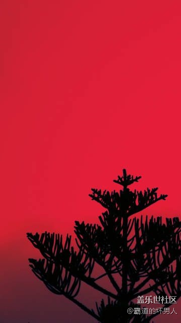 每天上幾張壁紙總有一款是你想要的