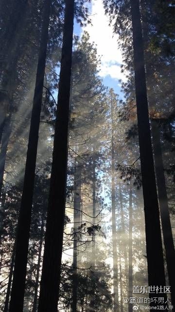 每天上幾張壁紙總有一款是你想要的