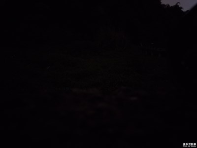 怎么調(diào)這照片