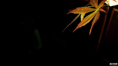 不一樣的光映，不一樣的深邃