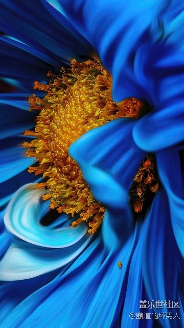 每天上幾張壁紙總有一款是你想要的