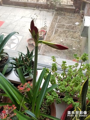 留住記憶的照片+美食美景