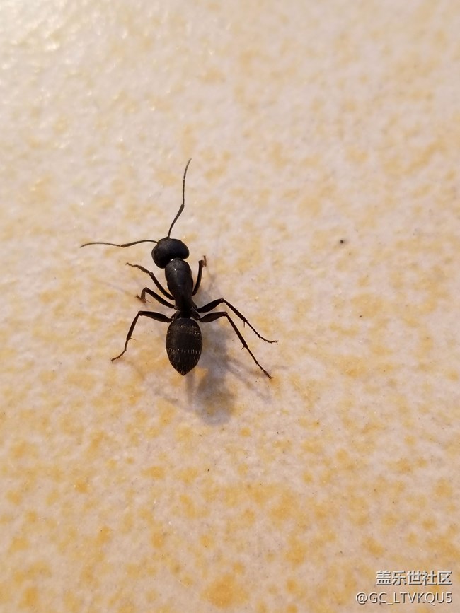 官方回復note8系統(tǒng)更新時間