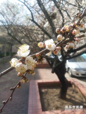 記錄成長的快樂