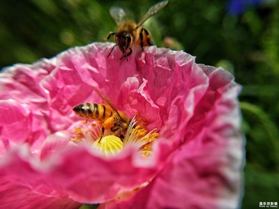 春日暖陽下的律動