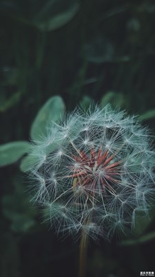 【用三星記錄點滴】