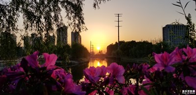 水中樓，樓邊水，不一樣的高樓林立(二)