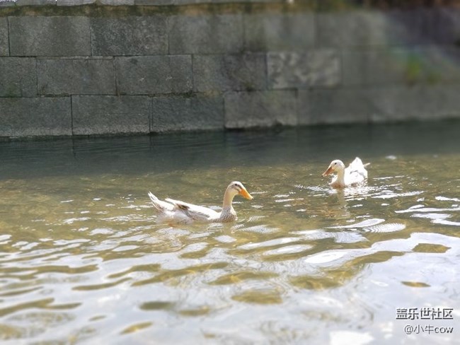 「桂林陽朔」——圖記