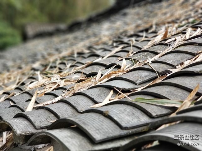 「桂林陽朔」——圖記