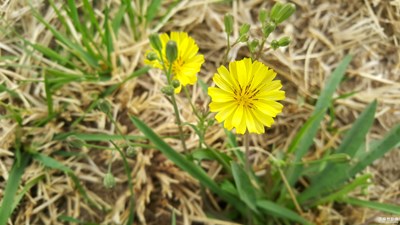 隨手拍，請(qǐng)指教