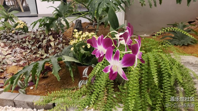 【Photo by Galaxy】如何使用蓋樂世S9 | S9+ 全屏拍攝模式