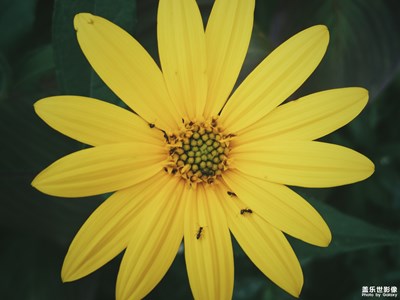 【拍，才知道，世間有多美】