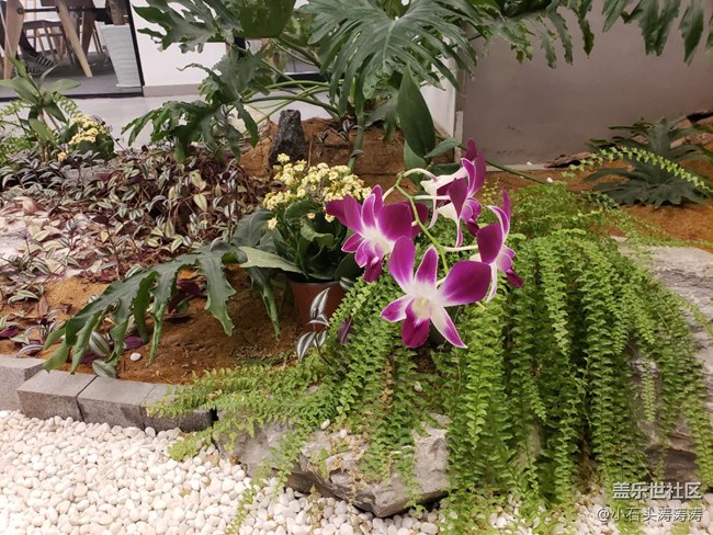 【Photo by Galaxy】如何使用蓋樂世S9 | S9+ 全屏拍攝模式