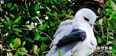 拍電視?。?！、