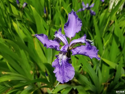 黑夜不同光環(huán)境下