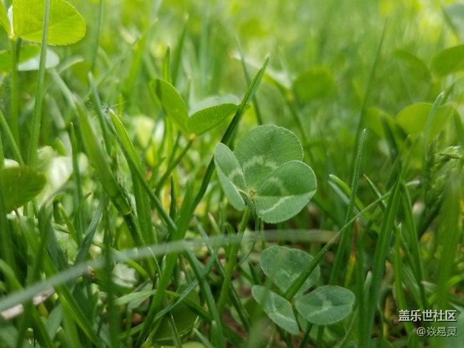 綠了綠了?。。?！