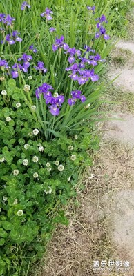 【人間四月天】+公司園區(qū)隨拍