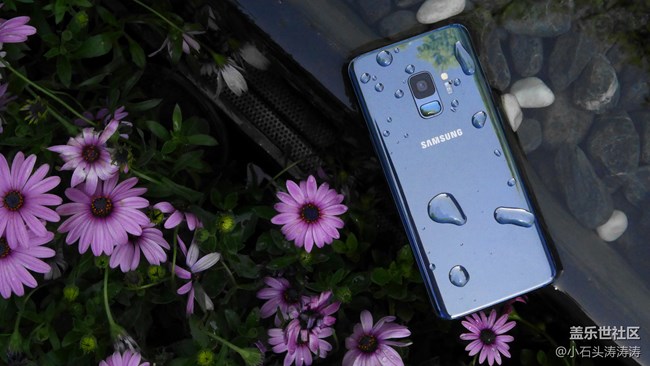 與水完美結(jié)合 三星蓋樂世S9 | S9+美圖賞析