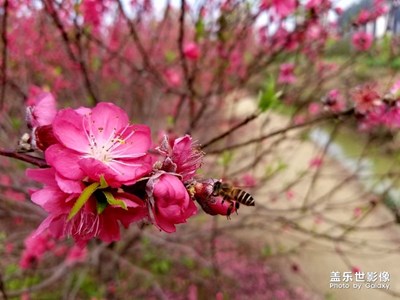 準備換機，清內(nèi)存時發(fā)現(xiàn)的（下次發(fā)貼估計是Galaxy s9了）