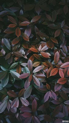 【遇見美好】 一