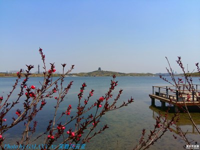 最美人間四月天+碧桃