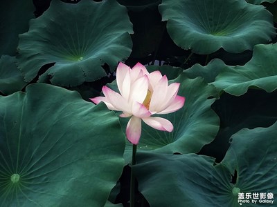 【中國最美瞬間】+美好回憶