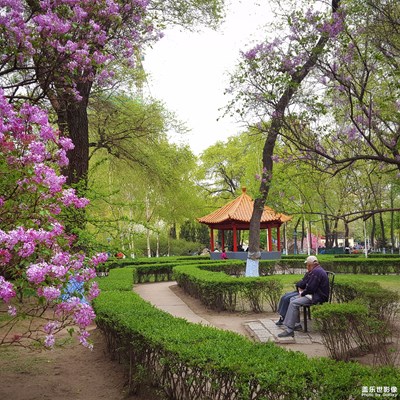 【我的手機(jī)在說(shuō)話】+此時(shí)無(wú)聲勝有聲。??????