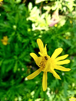 中國最美瞬間＋流逝的美好