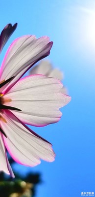 【中國最美瞬間】+