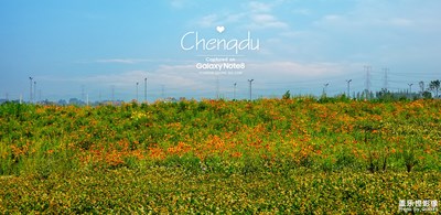 【中國最美瞬間】+成都興隆湖美景