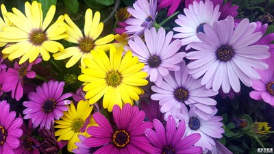 【我的手機在說話】+生活