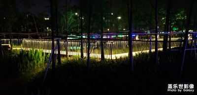 夜拍，就是這么淡定