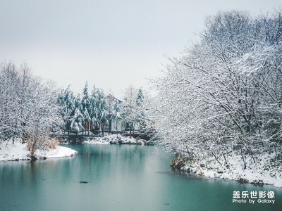 【中國(guó)最美瞬間】西溪雪景