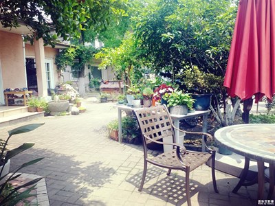 【中國(guó)最美瞬間】田園午后