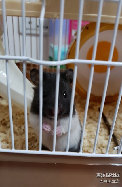 更新系統(tǒng)?。? title=