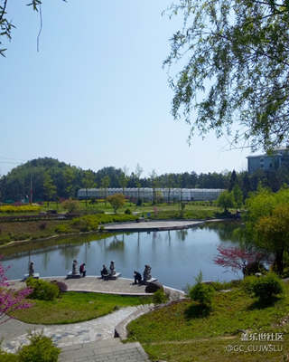 【中國(guó)最美瞬間】+風(fēng)景