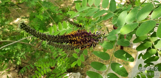 Galaxy S9 輕體驗(yàn)