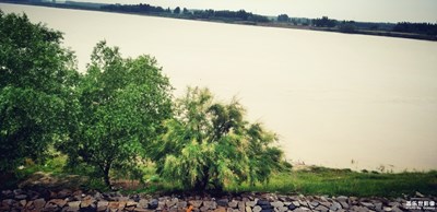 大地動脈之母親河