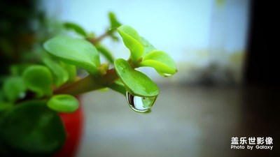 【中國最美瞬間】+清新雨露