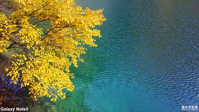 【中國(guó)最美瞬間】+ 美景不可負(fù)