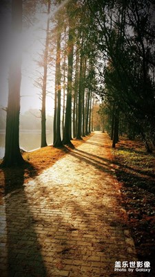 【中國最美瞬間】斑斕