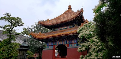 【中國最美瞬間】天然圖畫