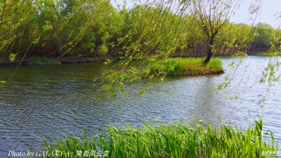 【中國最美瞬間】+南湖春曉