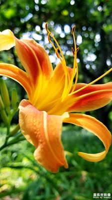 閔行體育公園更新…