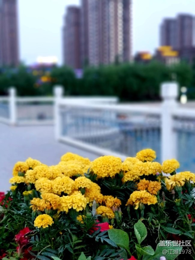 note8拍我的美麗家鄉(xiāng)