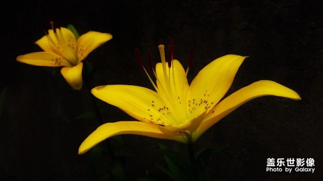 【第101期：三星Galaxy A9 Star | A9 Star Lite 正式發(fā)布】